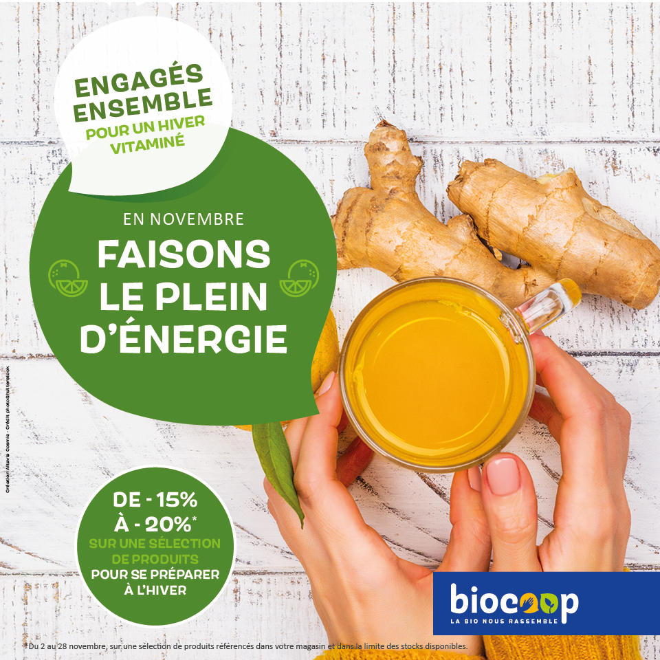 En Novembre, faisons le plein d'énergie ! En Novembre, faisons le plein d'énergie !