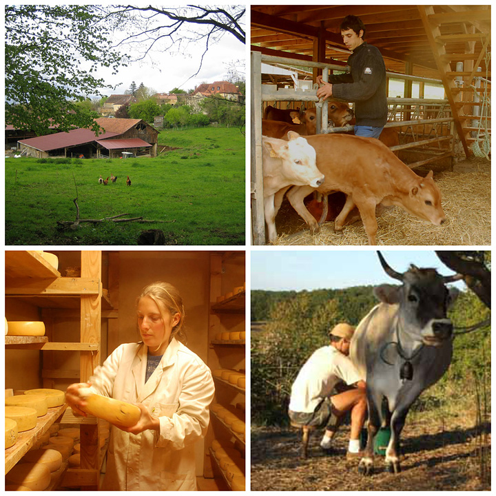 La ferme d'Eyssal La ferme d'Eyssal